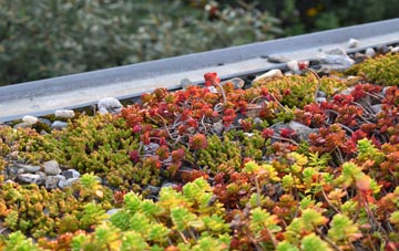 the cost of Malden Rushett green roof installation