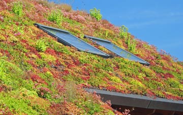 Malden Rushett living roof systems