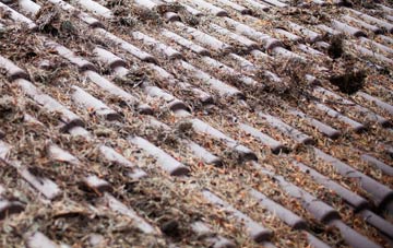 Malden Rushett roof cleaning companies